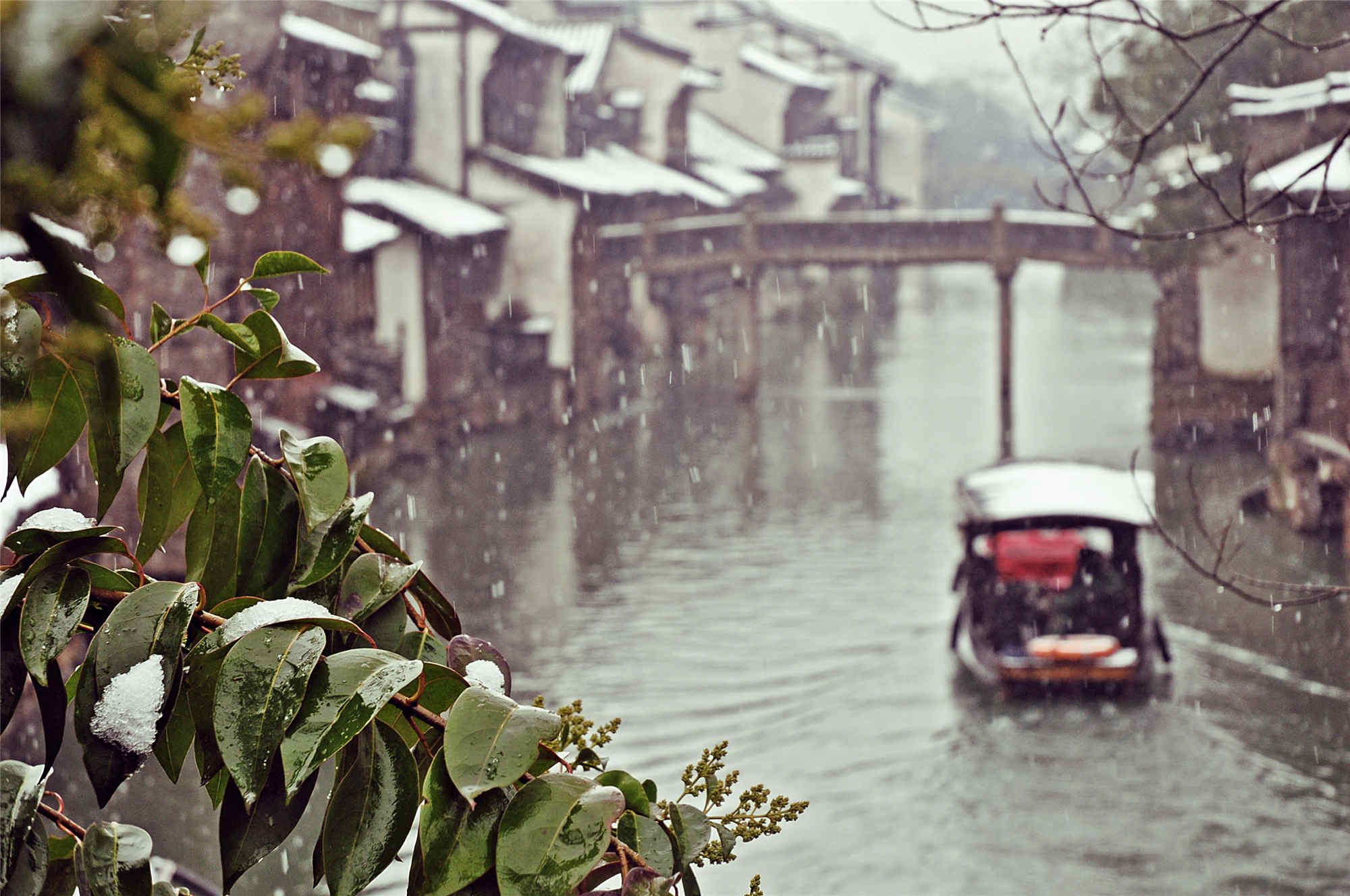 烏鎮雪 (6)_副本.jpg